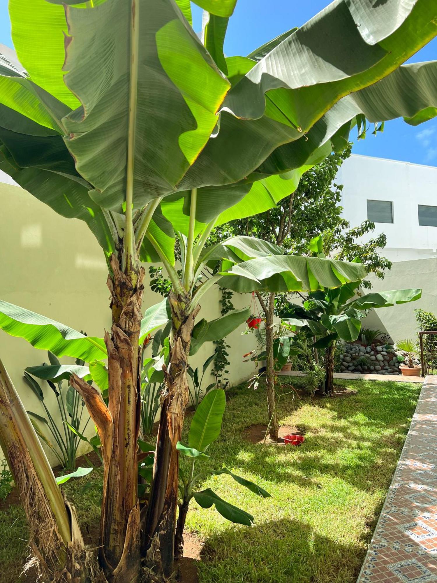 Maison D'Hotes Familiale "Dar Aboulanwar" El Jadida Buitenkant foto